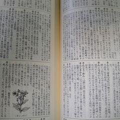 岩波書店　新村出編　広辞苑　第四版　の画像
