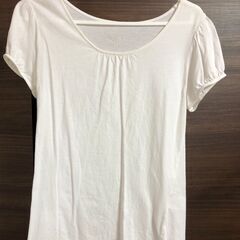 Ｔシャツ / 白（ホワイト）