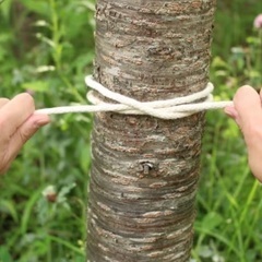 山びこ夏山登山教室（山登り)