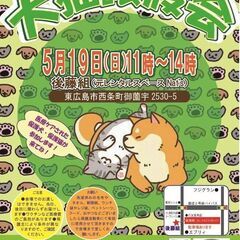 5月19日犬猫譲渡会