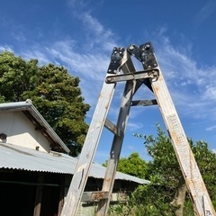 ガーデニング 脚立の画像