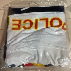 (お話中)キッズ用ビニールプール、ミニカーボート(浮き輪？)の画像