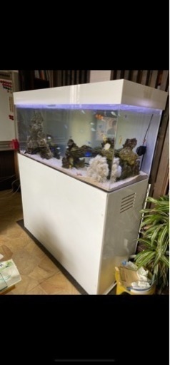 家電 テレビ 液晶テレビ