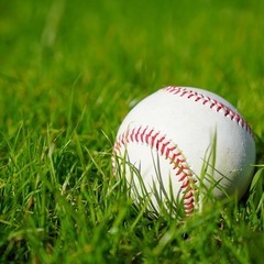 【新規草野球チーム 未経験者歓迎】現在メンバー5名 ‼気軽に野球...