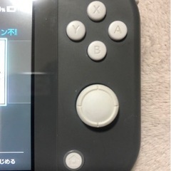 Switchライトグレーダウンロードゲーム多数の画像