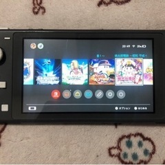 Switchライトグレーダウンロードゲーム多数