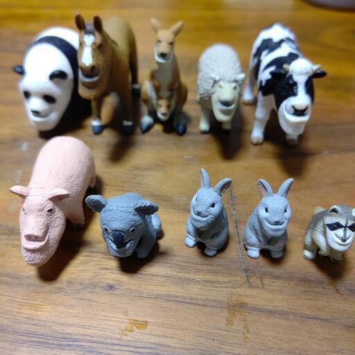 シャクレプラネットセット