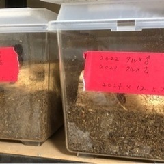 家具 収納家具 収納ケース