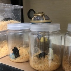 家具 収納家具 収納ケースの画像