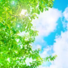 中学生、高校生の英語の指導を承ります