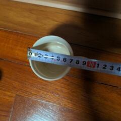 ティーカップの画像