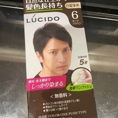 LUCIDO 白髪染め ダークブラウン