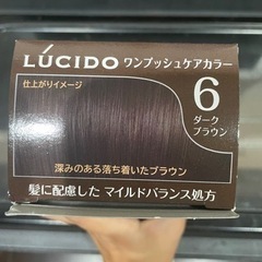 LUCIDO 白髪染め ダークブラウンの画像