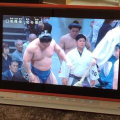 Panasonic ポータブルテレビ DMP-BV200 ジャンク