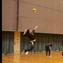 志木でバレーボールやります！