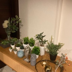 フェイクグリーン／オブジェ　セット
