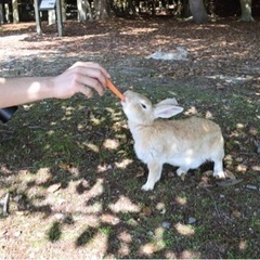 友達募集します！！一緒に外へ出かけませんか？