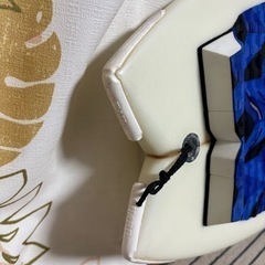 AL MERRIC / アルメリック 「The POD」5'6"スポーツ マリンスポーツの画像