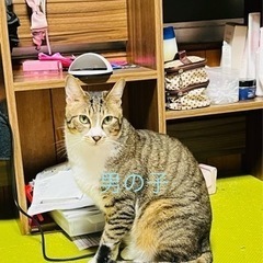 里親さん募集！
