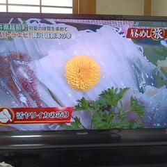 家電 テレビ 液晶テレビの画像