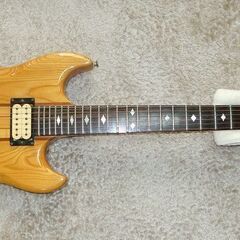 TS-800　Aria Pro Ⅱ（最上位機種）