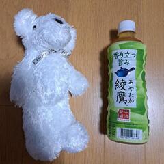 白いくまのぬいぐるみ