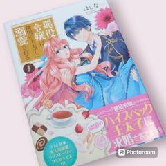 《美品》悪役令嬢は隣国の王太子に溺愛される 1～3巻 の画像