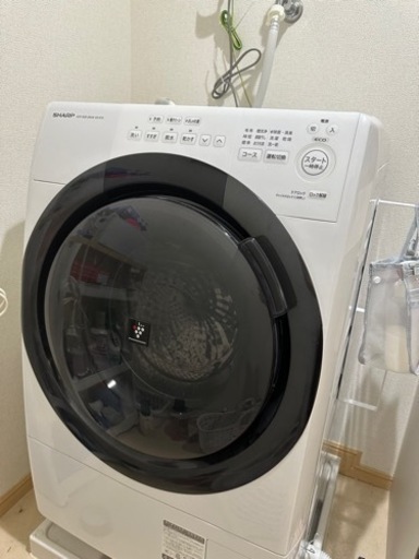 家電 生活家電 洗濯機