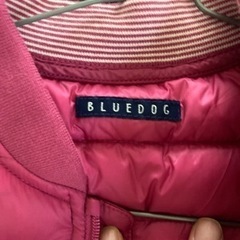 ダウンベストの画像