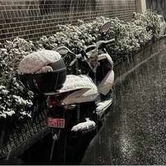 PCX125自賠責R8年11月の画像