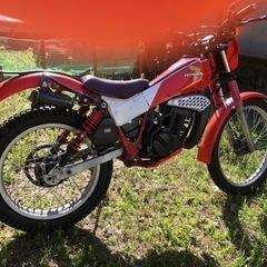 【決まりました】HONDA TLM50カスタム  の画像