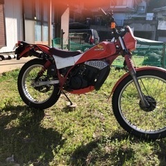 【決まりました】HONDA TLM50カスタム  の画像