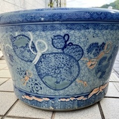 大きめの火鉢　メダカ　金魚