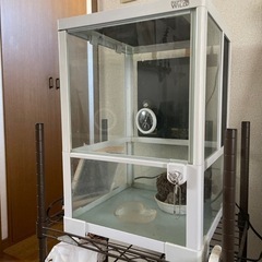 レプタイルゲージ