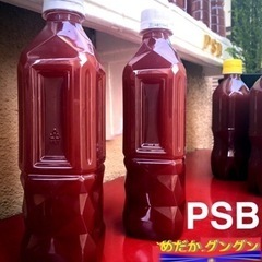 🅿️Ｓ🅱️起死回生🇷🇪500ml =⒉本1,000.mlメダカ針...