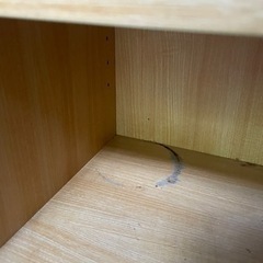 家具 収納家具 カラーボックスの画像