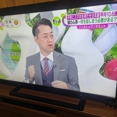 家電 テレビ 液晶テレビ