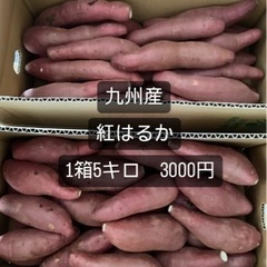 芋①