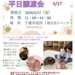 しもつみゃ譲渡会