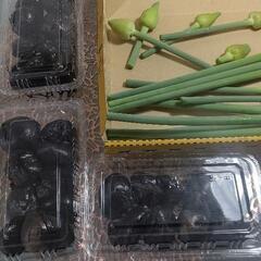 ジャンボ黒ニンニクニンニクの芽と調味料のオマケ付き