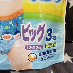 水遊びパンツの画像