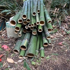【決まりました】カット竹まとめて全部差し上げます