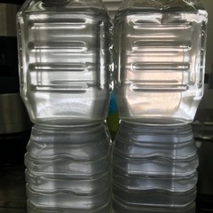 ゾウリムシ　約500ml　1本　針子の餌の画像