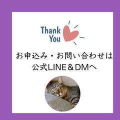 目の疲労感に「アイケアレッスン」の画像