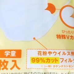 アイリスオーヤマ　DISPOSABLE MASK　学童マスク　7枚入り×3セットの画像