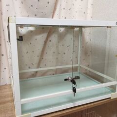三晃商会 レプティワイルド パンテオン ホワイト WH6045(...