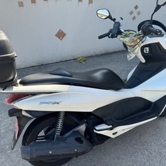 PCX125自賠責R8年11月の画像