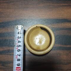 さしちょこ 5枚セット 食器の画像