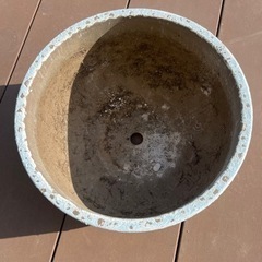 鉢の画像