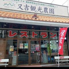 ランチ会　名護の又吉観光農園レストラン